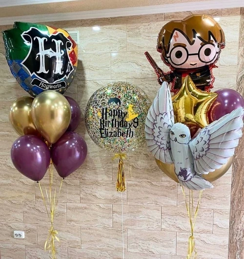 Шары на день рождения Гарри Потер и Сова 2
