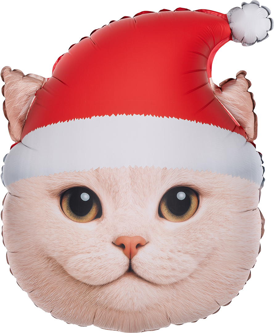 Шар Фигура, Новогодний котик