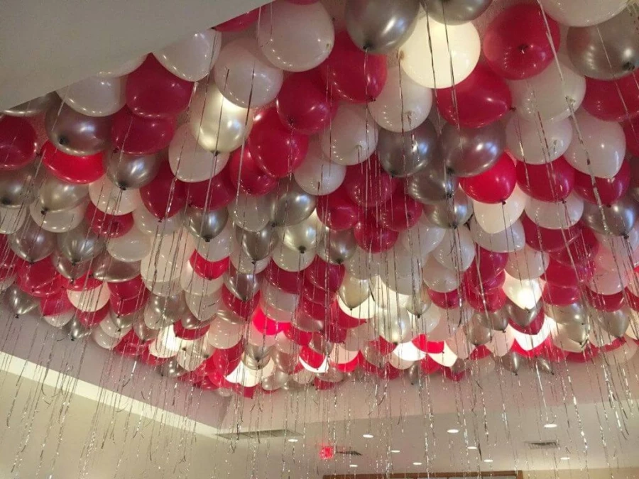 Шары под потолок «Смородина на земле»