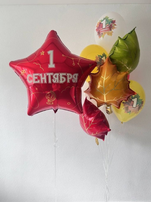 Композиция «Учись, ученик!»
