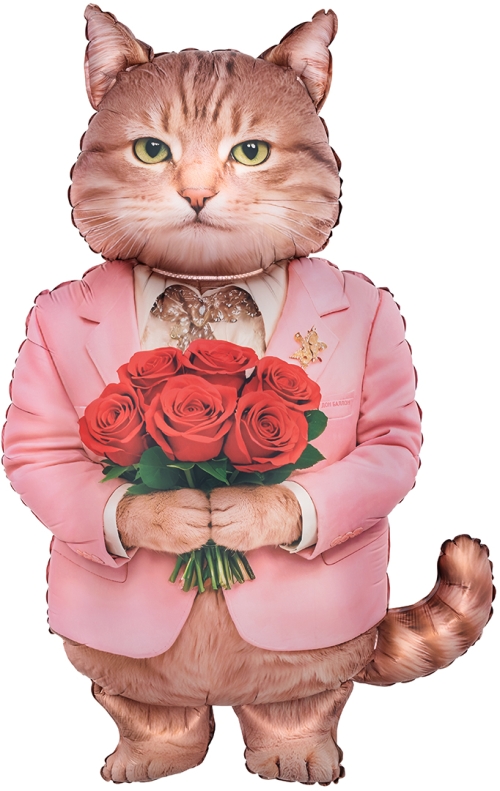 Шар Фигура, Кот Романтик